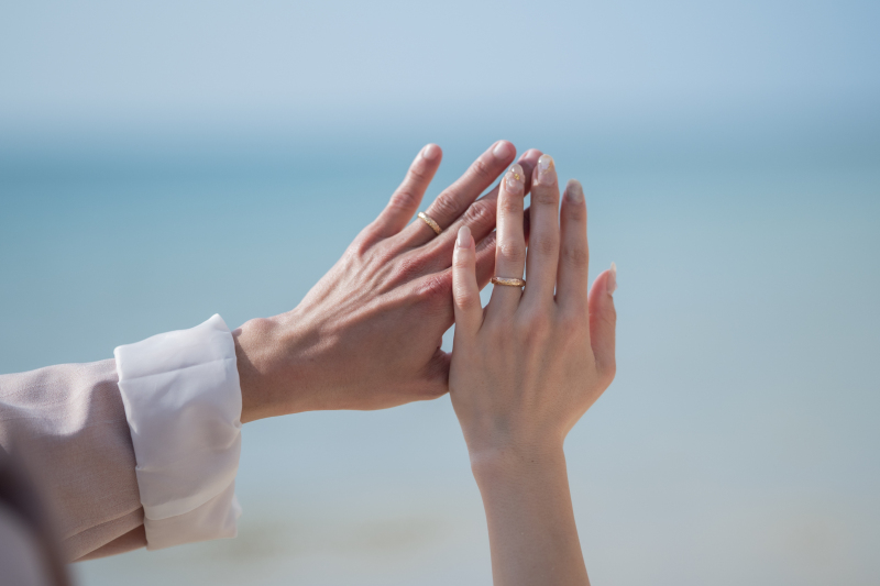 お手元の写真も