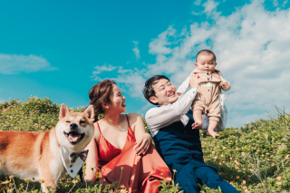 赤ちゃんワンちゃんと