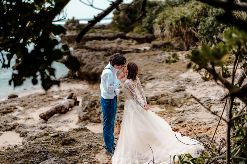 自然のフレームと