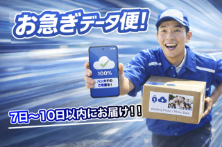 お急ぎデータ納品