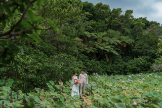 CHILLTO WEDDING_ビオスの丘
