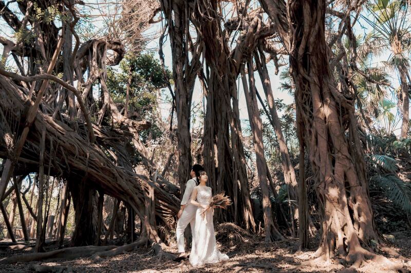 パワースポット２