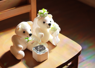 可愛いくまさんも一緒に♡