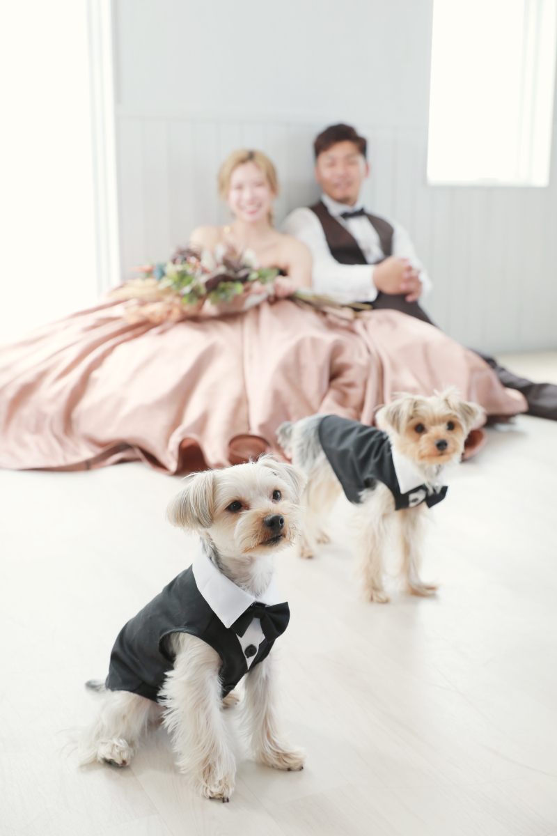 わんちゃん2匹もOK♪