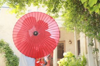 天使の森　佐野オリヴィエ