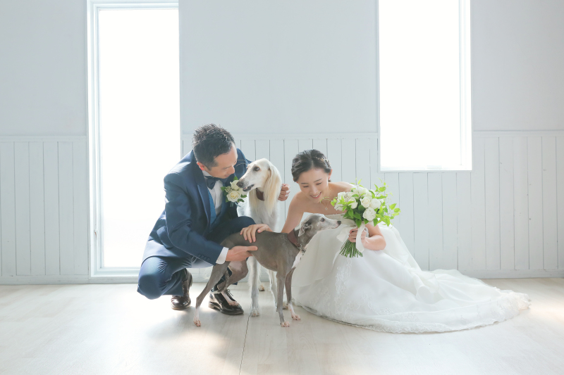 【ペットと一緒に洋装1着フォトウェディング!】ナチュラルプラン アルバム・データ付き!