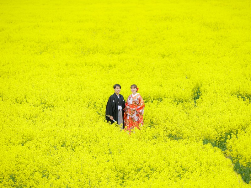 幸せなビタミンカラー一色にパワーを吸収！