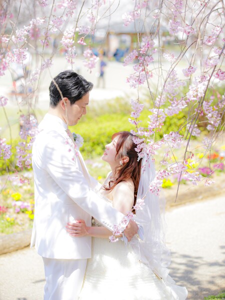 ベストコンディション!