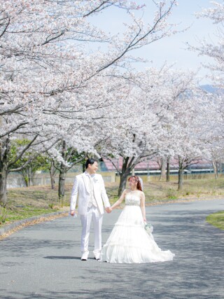 満開の桜の下で