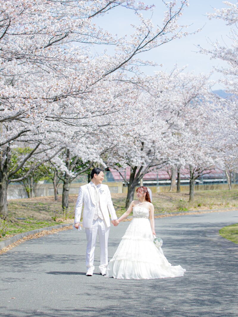 満開の桜の下で