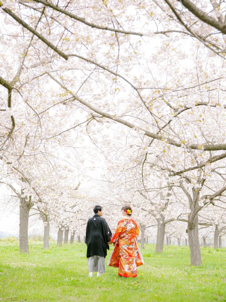 満開の桜並木に感動！