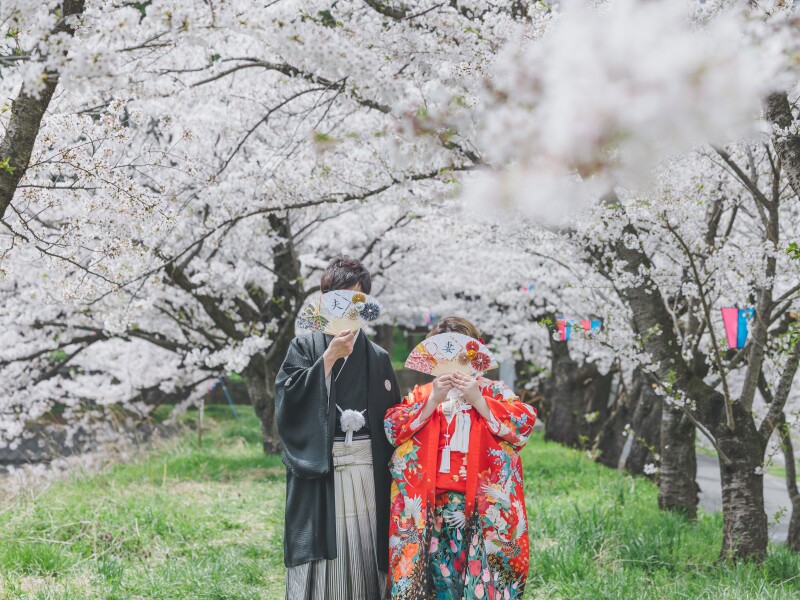 まるで桜のトンネルのよう
