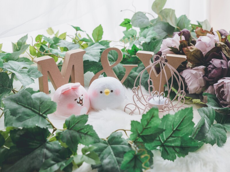 大好きな ”推しキャラクター” と一緒に！