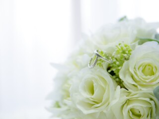 結婚指輪の撮影
