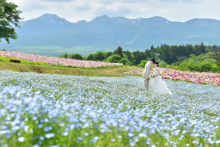 那須連峰を背に、那須フラワーワールドでの多幸感あふれるお花畑フォト