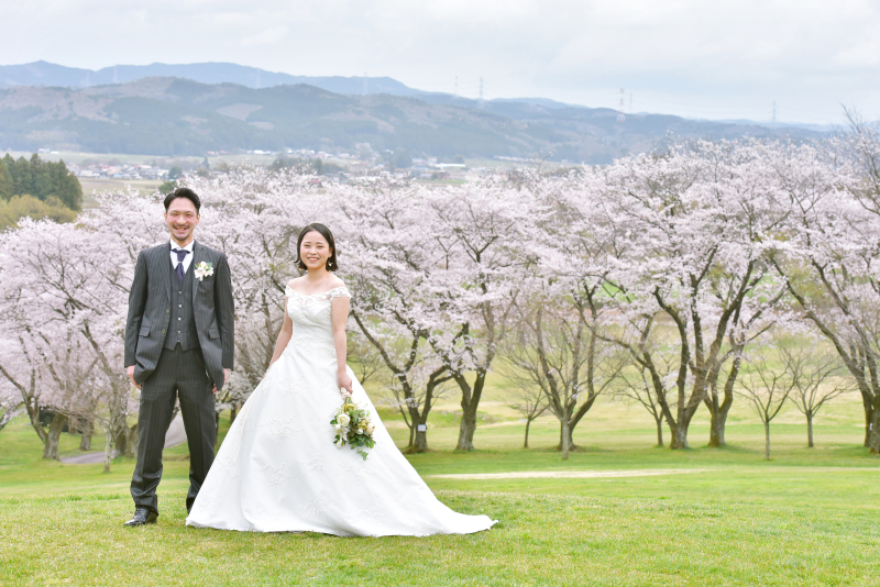 春の訪れを彩る満開の桜並木