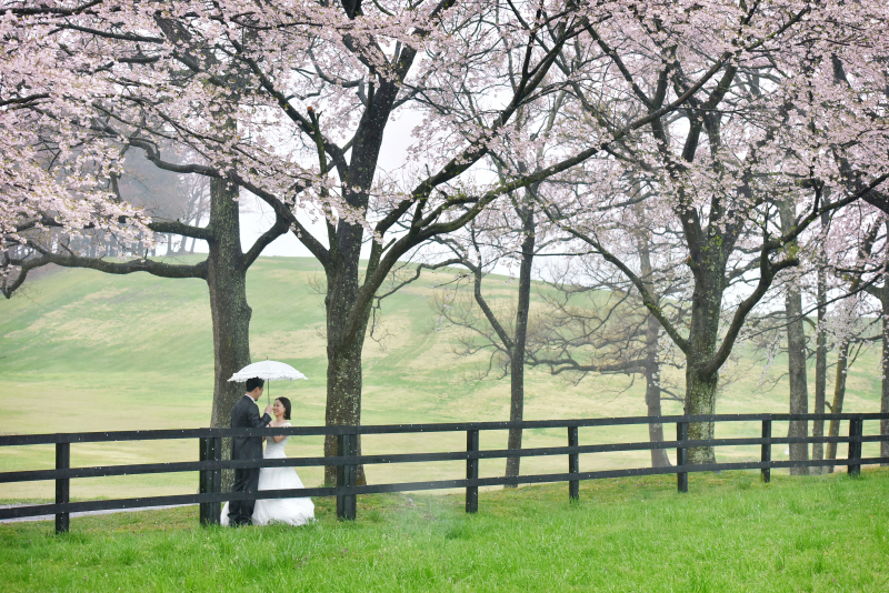 雨のヴェールに包まれた幻想