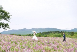 東京・横浜・那須と旅するフォトウェディング
