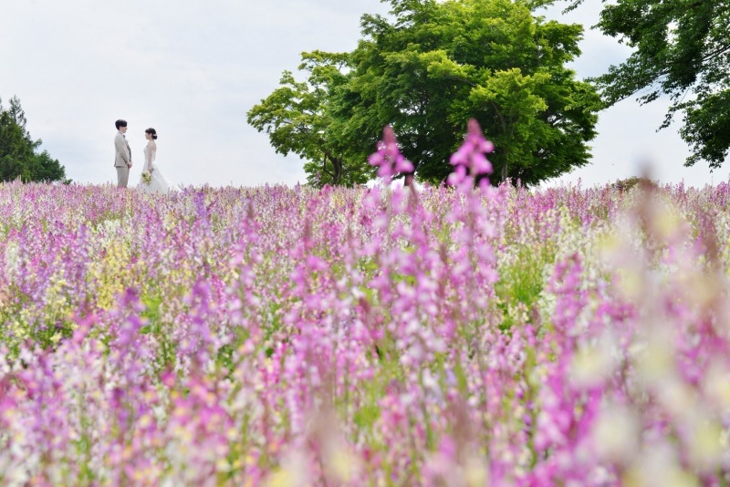 花の中に佇むお二人
