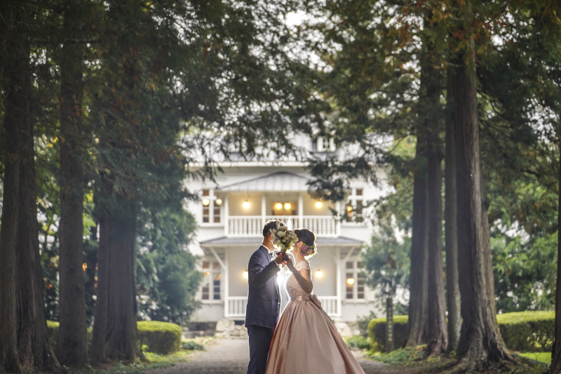 杉並木でドラマチックな雰囲気♡