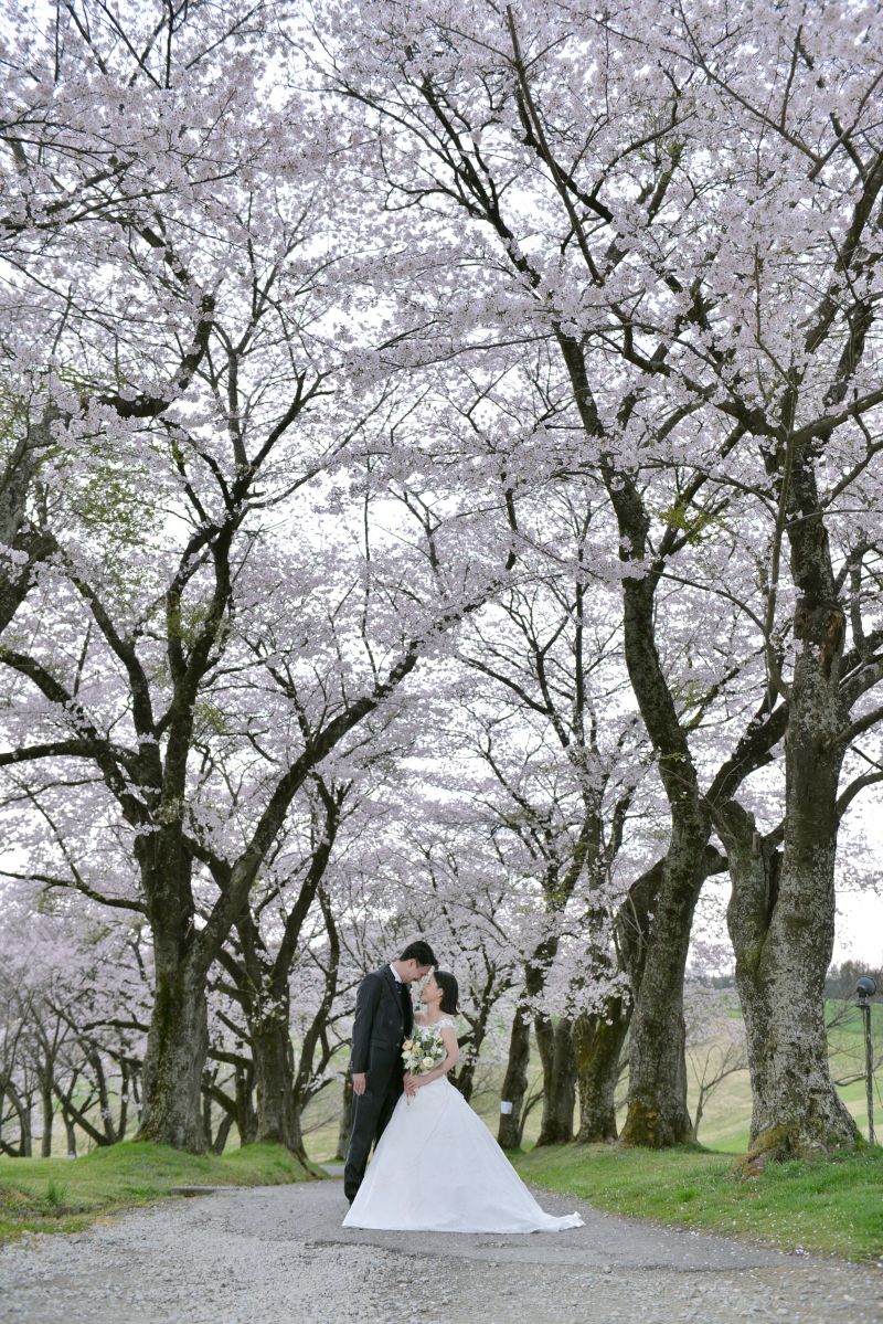 桜のトンネルでのロマンチックな1枚。