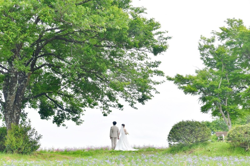 大きな木の下で見つめ合って