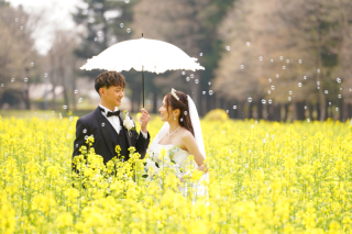 菜の花とチューリップに囲まれた春の那須でのロケーションフォト