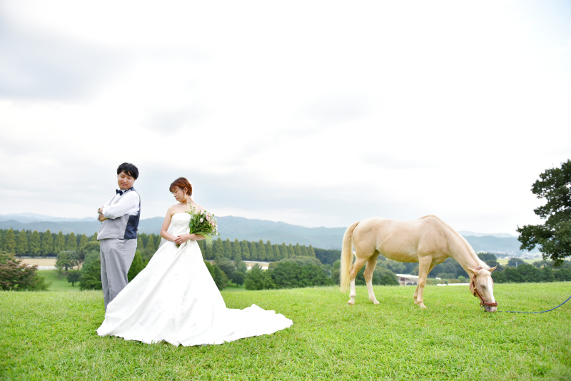 広大な景色にお馬さんとロマンチックな1枚
