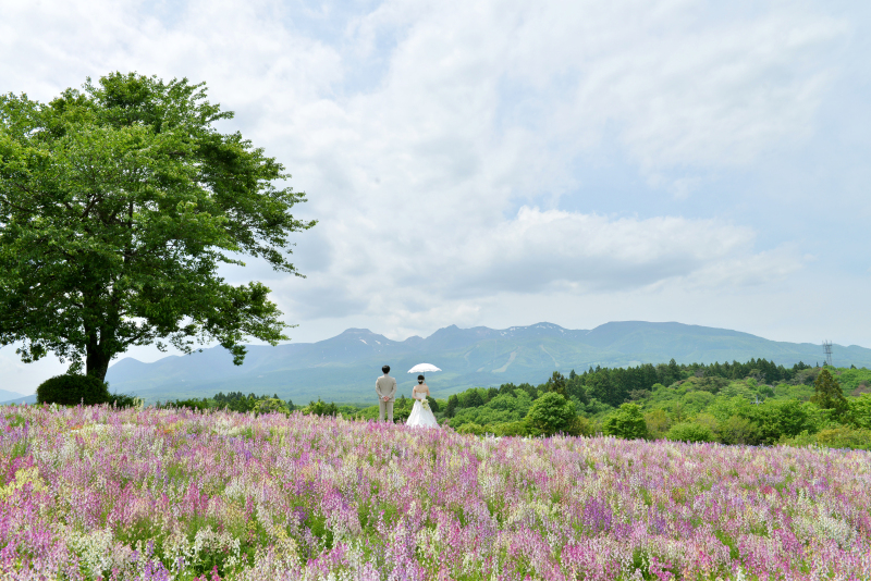 那須連峰と花畑フォト