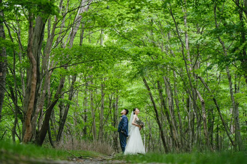 まるでジブリのような世界観