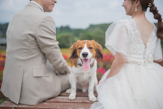 アンシャンテ那須