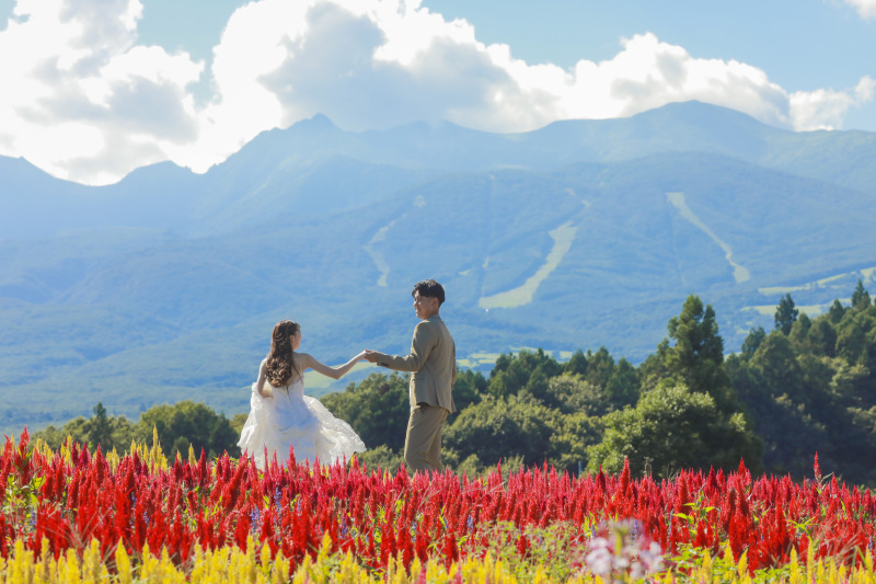 日本中の景色がおふたりの引き立てるスポットに