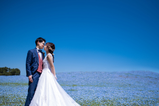 アンシャンテ那須_2024年ネモフィラフォト先行予約受付中