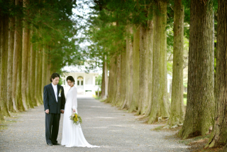 ダイヤモンドレタッチ【BODY-身体-】1枚