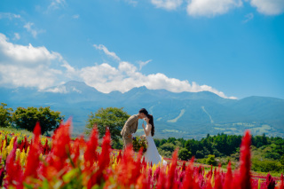 ムービー出張撮影