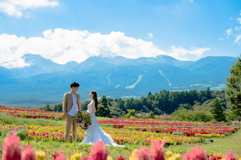 アンシャンテ那須_動画を作れる