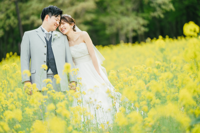 《ひたちなか本店》【2025年早割⭐️先行予約】青と蒼のネモフィラフォトプラン