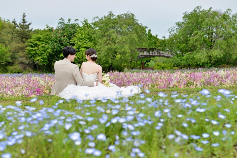 【先行予約限定★早割20％OFF！】花咲く丘のネモフィラフォト✿シンプルプラン✿＠那須フラワーワールド