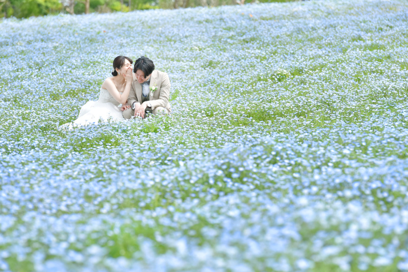 【先行予約限定★早割20％OFF！】花咲く丘のネモフィラフォト&times;チャペル撮影✶2か所2着撮影✶撮影プラン＠那須フラワーワールド
