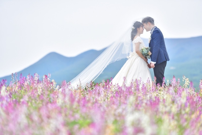 【先行予約限定★早割20％OFF！】花咲く丘のネモフィラフォト✿シンプルプラン✿＠那須フラワーワールド