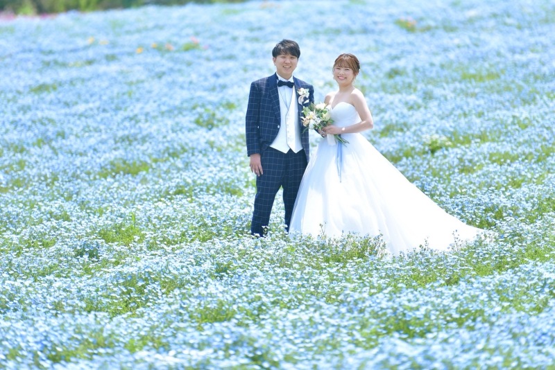 【先行予約限定★早割20％OFF！】花咲く丘のネモフィラフォト✿シンプルプラン✿＠那須フラワーワールド