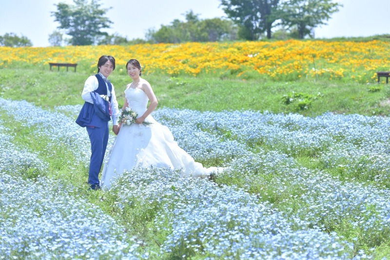 【先行予約限定★早割20％OFF！】花咲く丘のネモフィラフォト&times;チャペル撮影✶2か所2着撮影✶撮影プラン＠那須フラワーワールド