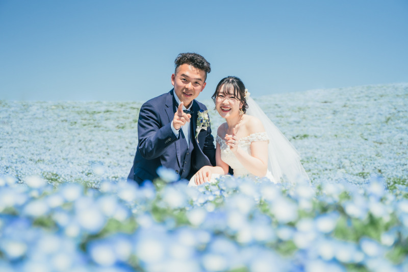 《ひたちなか本店》【2025年早割⭐️先行予約】青と蒼のネモフィラフォトプラン