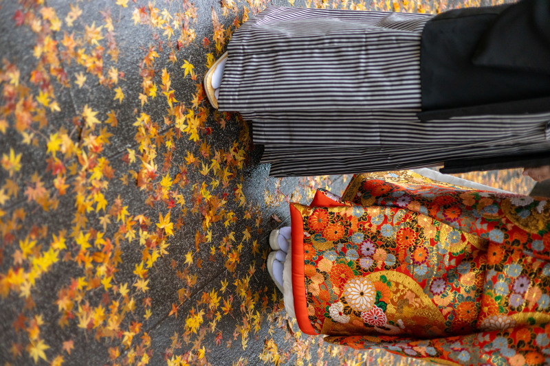 豪華な花柄刺繍の色打掛