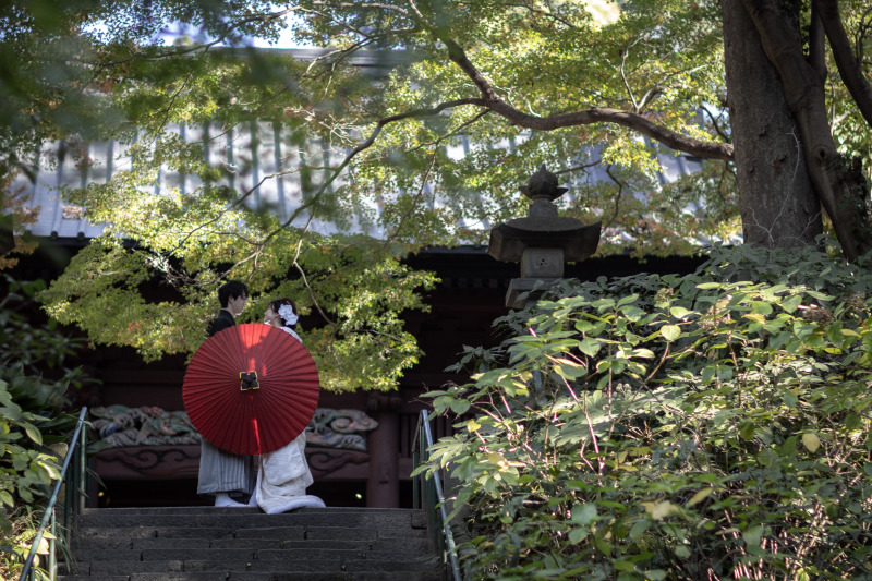 自然に溶け込む