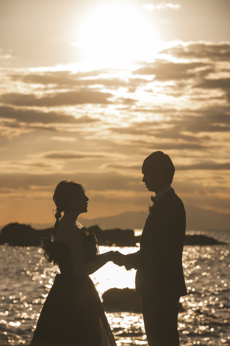 夕景に溶け込むシルエット