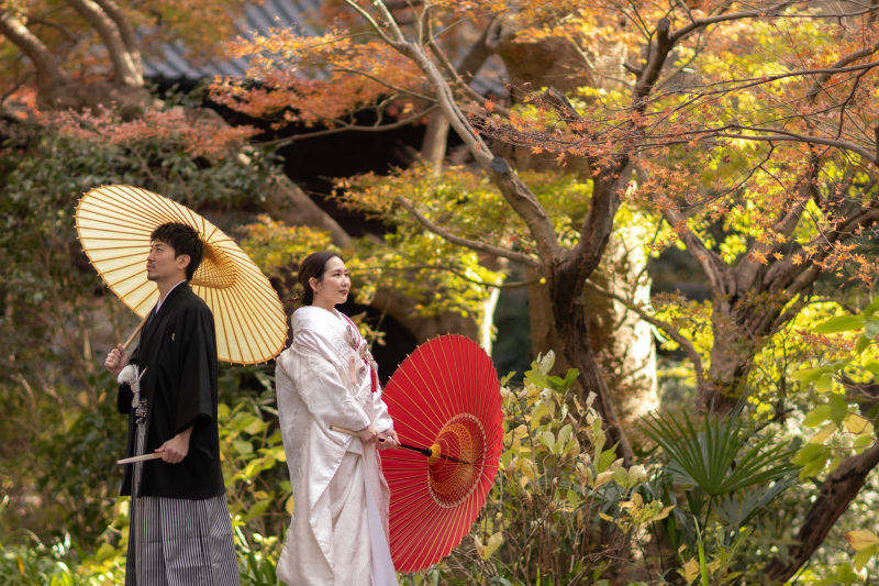 紅葉｜妙本寺和装