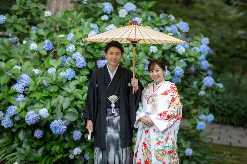 紫陽花に包まれる、季節の彩り
