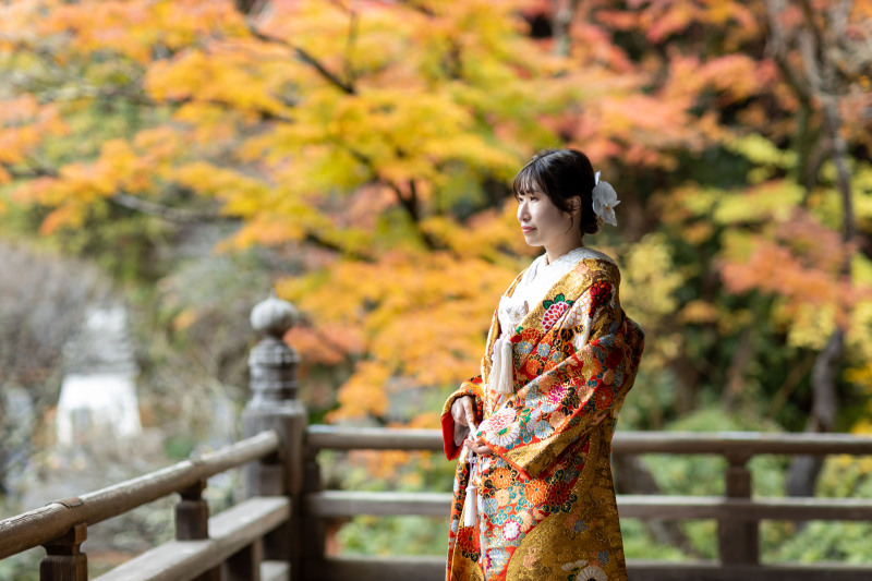 和装美を引き立てるソロショット