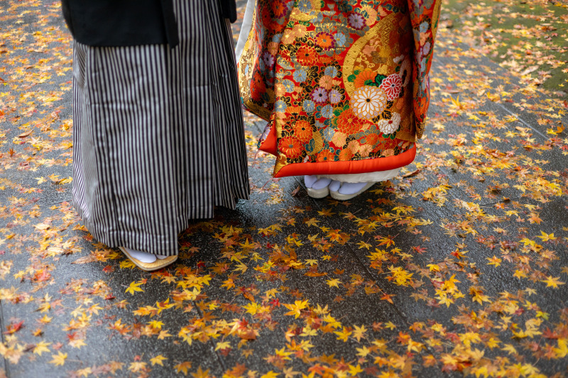 足元に広がる秋の絨毯